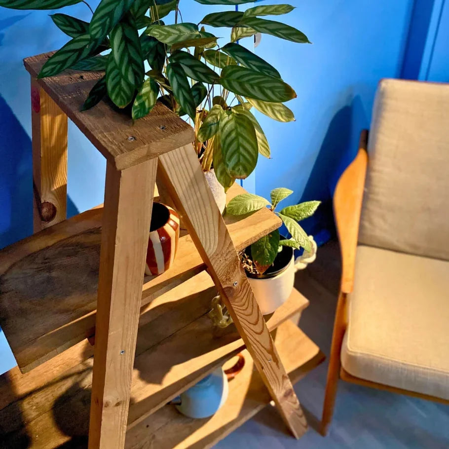 WORKSHOP (1/2 dag): PLANTENTAFEL