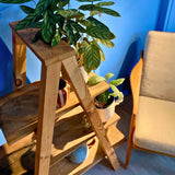 WORKSHOP (1/2 dag): PLANTENTAFEL