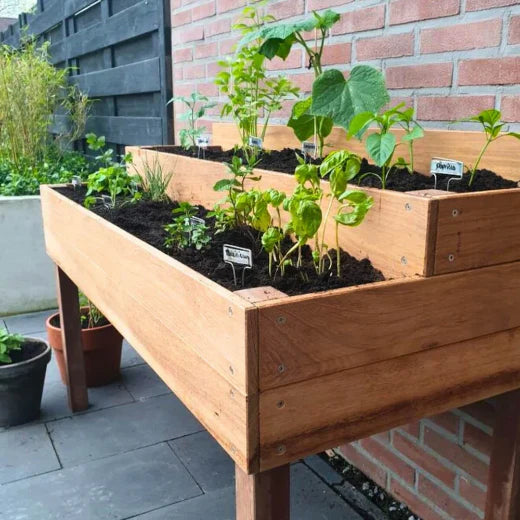 MOESTUINBAK - HALVE DAG WEEKENDWORKSHOP