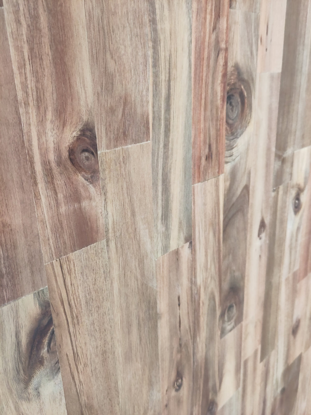 Acacia Plaat